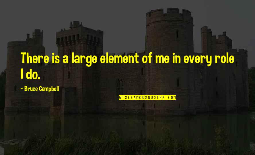 Tv Programme Revenge Quotes By Bruce Campbell: There is a large element of me in Tv Programme Revenge Quotes By Bruce Campbell: There is a large element of me in