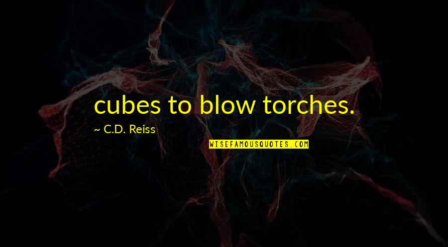 Tvb Funny Quotes By C.D. Reiss: cubes to blow torches.