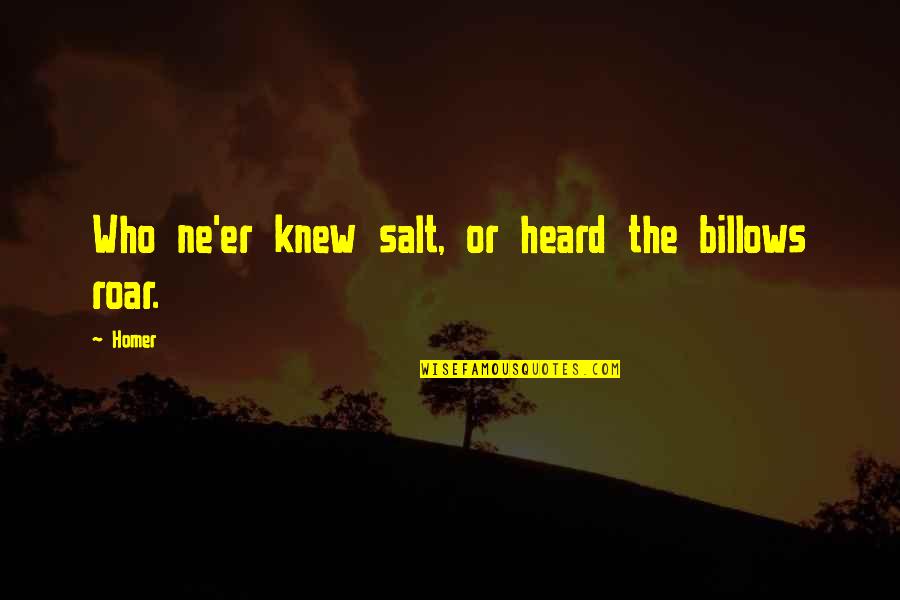 Tvbenk Quotes By Homer: Who ne'er knew salt, or heard the billows