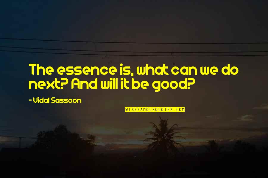 Tvivel Lars Quotes By Vidal Sassoon: The essence is, what can we do next?