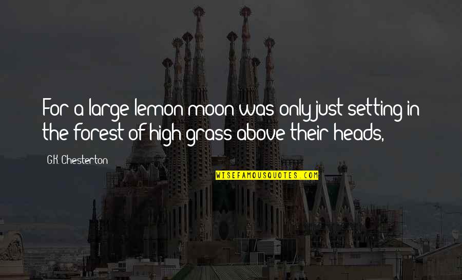 Tvtropes 8 Bit Theater Quotes By G.K. Chesterton: For a large lemon moon was only just Tvtropes 8 Bit Theater Quotes By G.K. Chesterton: For a large lemon moon was only just
