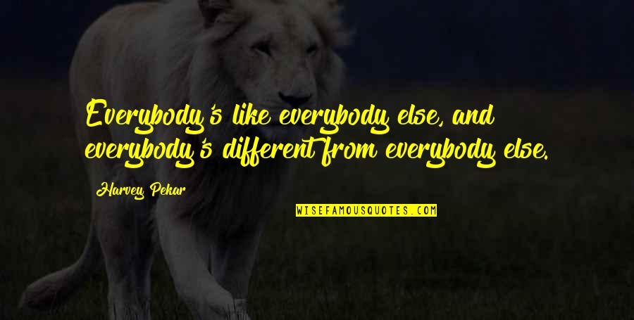 Twahirwa Corneille Quotes By Harvey Pekar: Everybody's like everybody else, and everybody's different from