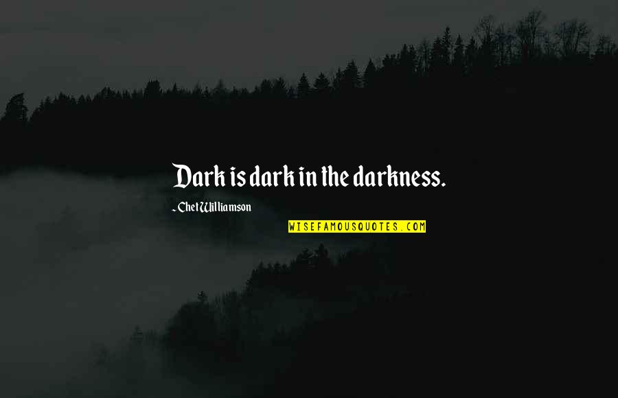 Twainscan Quotes By Chet Williamson: Dark is dark in the darkness.