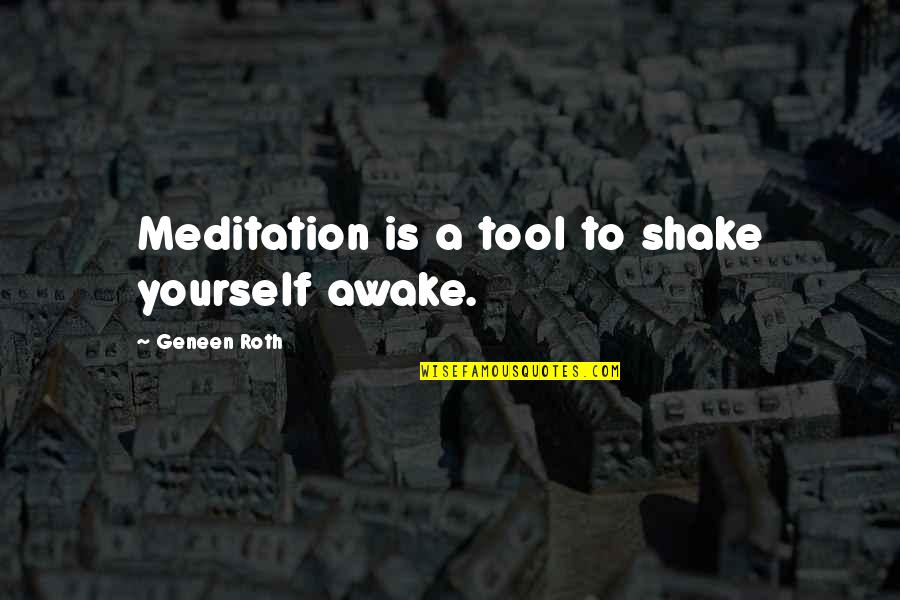 Twanging Your Magic Cleaner Quotes By Geneen Roth: Meditation is a tool to shake yourself awake.