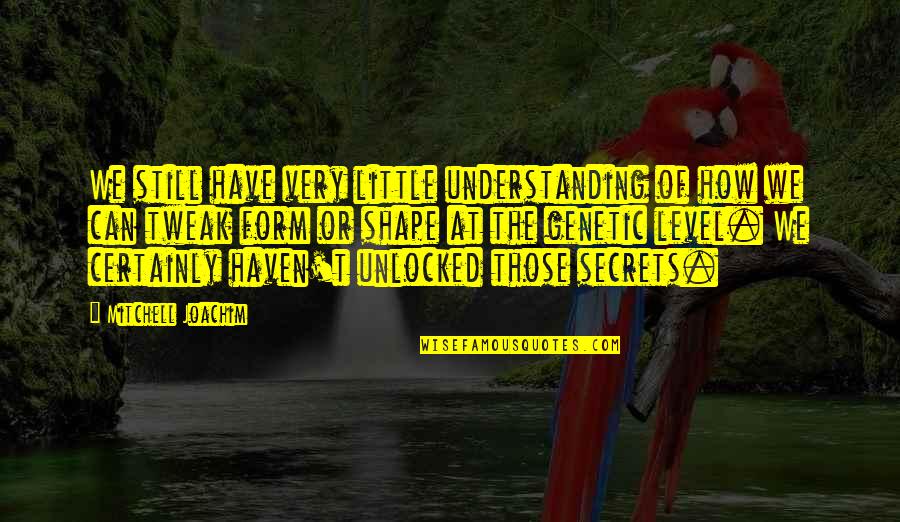 Tweak Best Quotes By Mitchell Joachim: We still have very little understanding of how