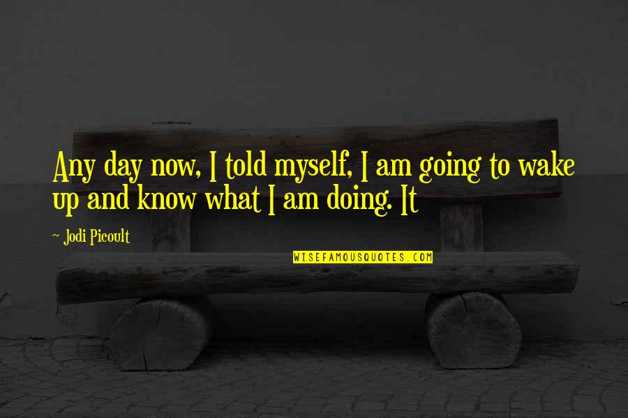 Twelfth Night Final Scene Quotes By Jodi Picoult: Any day now, I told myself, I am
