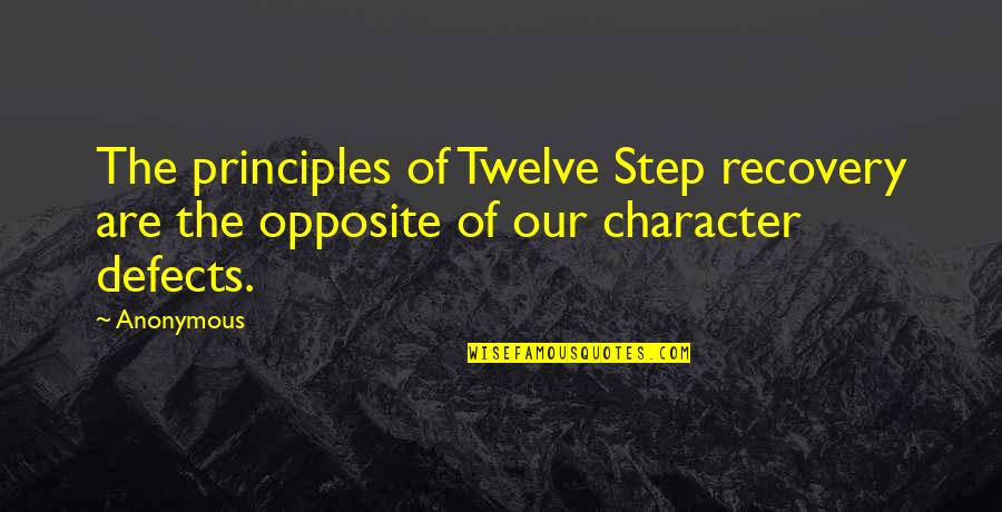 Twelve Step Quotes By Anonymous: The principles of Twelve Step recovery are the