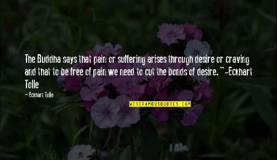 Twelvesky Quotes By Eckhart Tolle: The Buddha says that pain or suffering arises