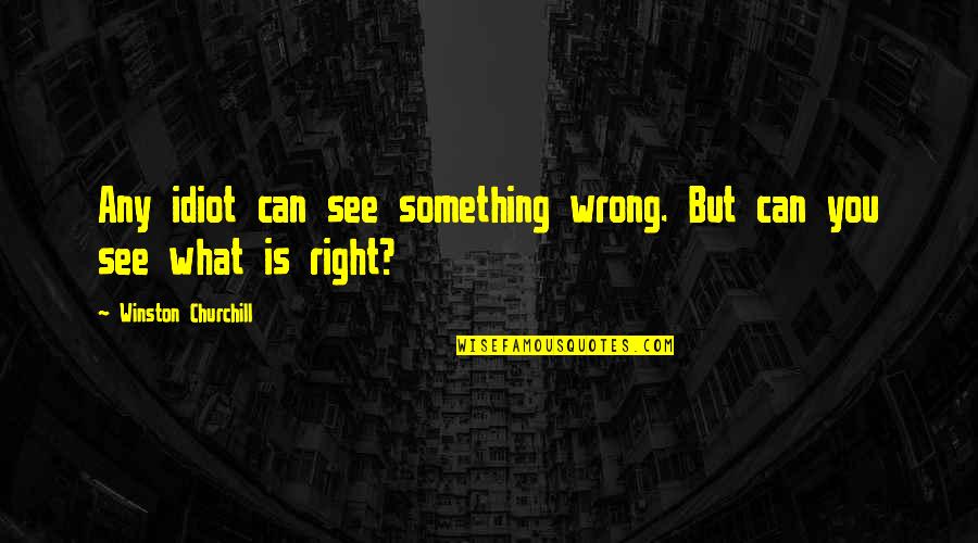 Twentyone Quotes By Winston Churchill: Any idiot can see something wrong. But can