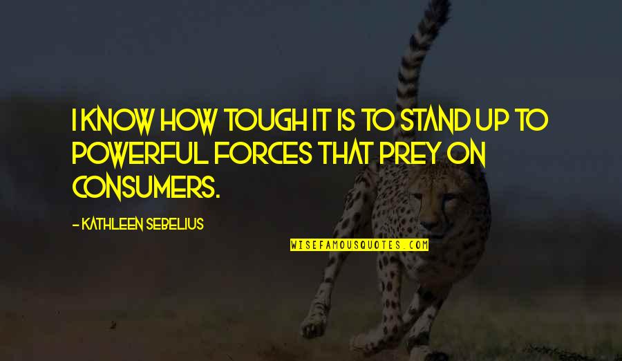 Tweye Quotes By Kathleen Sebelius: I know how tough it is to stand