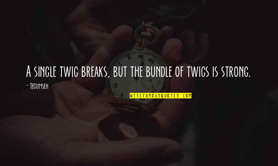 Twig Bundle Quotes By Tecumseh: A single twig breaks, but the bundle of