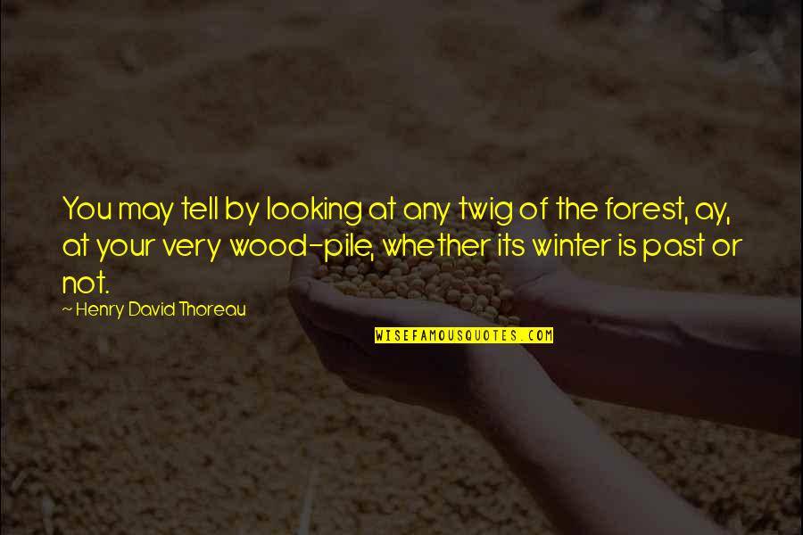Twig Quotes By Henry David Thoreau: You may tell by looking at any twig