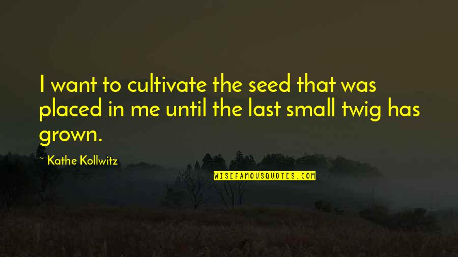 Twig Quotes By Kathe Kollwitz: I want to cultivate the seed that was