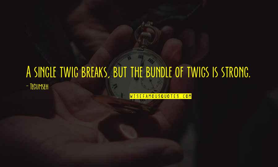 Twig Quotes By Tecumseh: A single twig breaks, but the bundle of