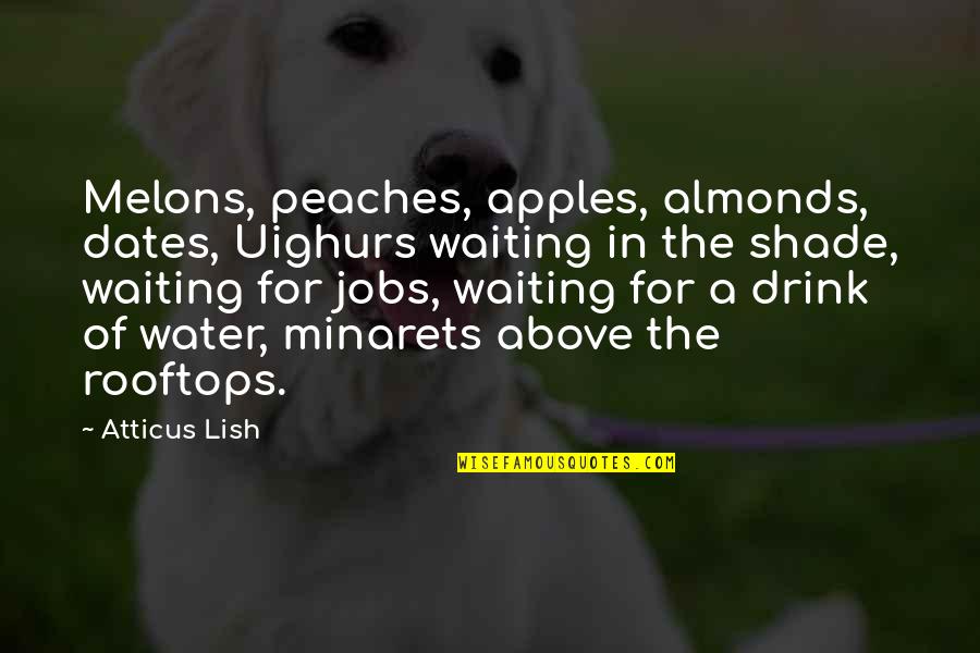 Twilia Mulgrew Quotes By Atticus Lish: Melons, peaches, apples, almonds, dates, Uighurs waiting in