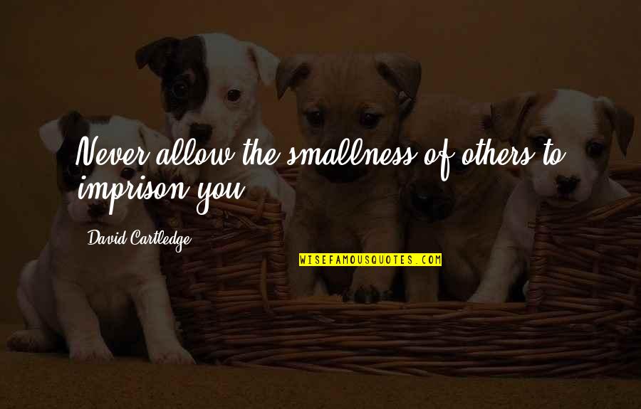 Twilight Eyes Quotes By David Cartledge: Never allow the smallness of others to imprison Twilight Eyes Quotes By David Cartledge: Never allow the smallness of others to imprison