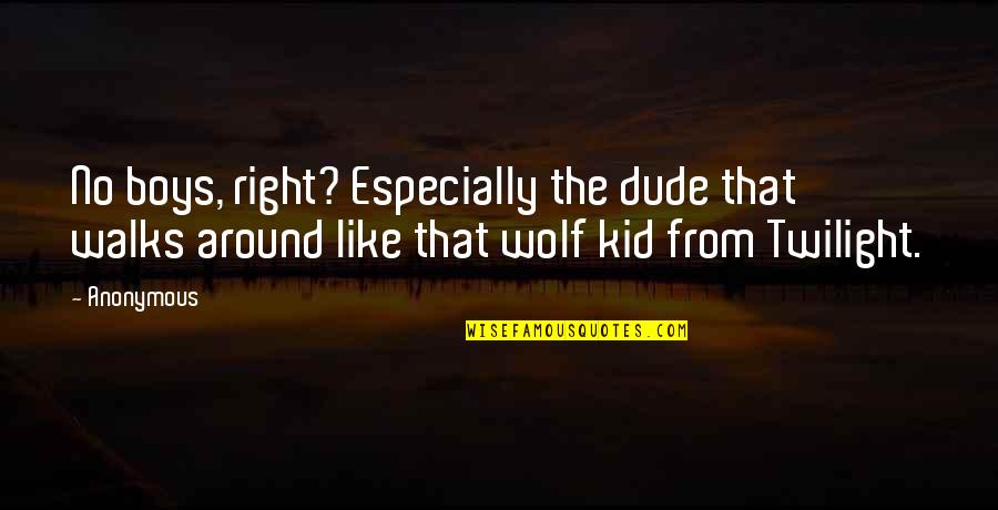 Twilight Quotes By Anonymous: No boys, right? Especially the dude that walks