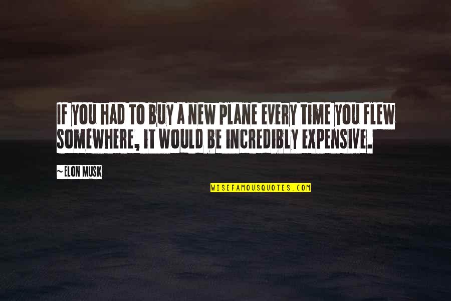 Twilight Sky Quotes By Elon Musk: If you had to buy a new plane