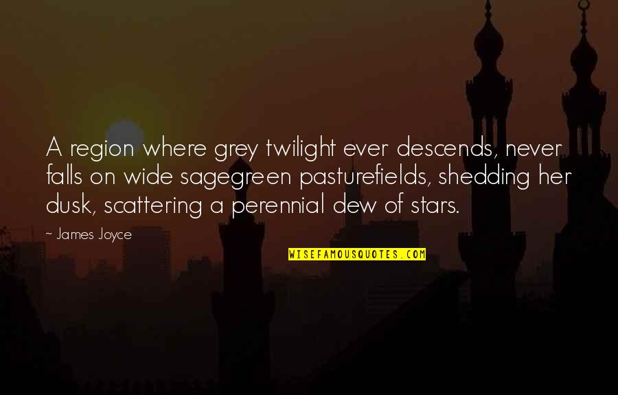 Twilight Stars Quotes By James Joyce: A region where grey twilight ever descends, never Twilight Stars Quotes By James Joyce: A region where grey twilight ever descends, never