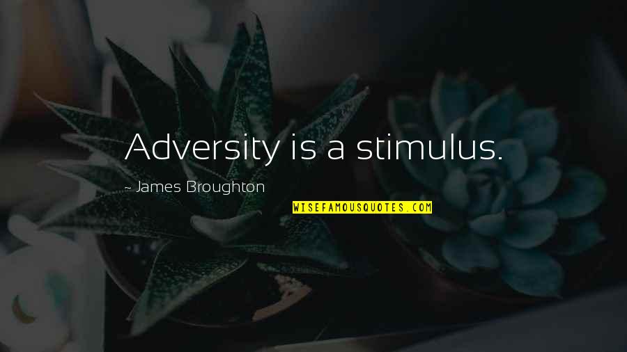 Twin Airbed Quotes By James Broughton: Adversity is a stimulus.