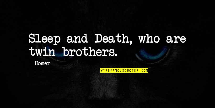 Twin Brother Quotes By Homer: Sleep and Death, who are twin brothers.