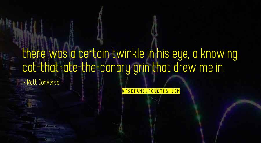 Twinkle In The Eye Quotes By Matt Converse: there was a certain twinkle in his eye,