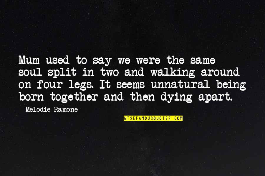 Twins For Life Quotes By Melodie Ramone: Mum used to say we were the same Twins For Life Quotes By Melodie Ramone: Mum used to say we were the same