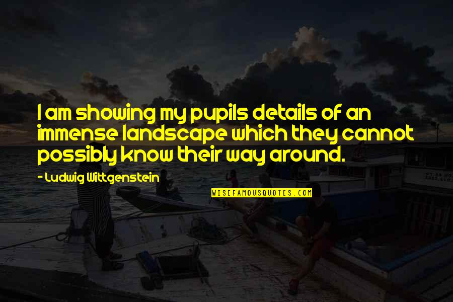 Twintig Very Long Nails Quotes By Ludwig Wittgenstein: I am showing my pupils details of an Twintig Very Long Nails Quotes By Ludwig Wittgenstein: I am showing my pupils details of an