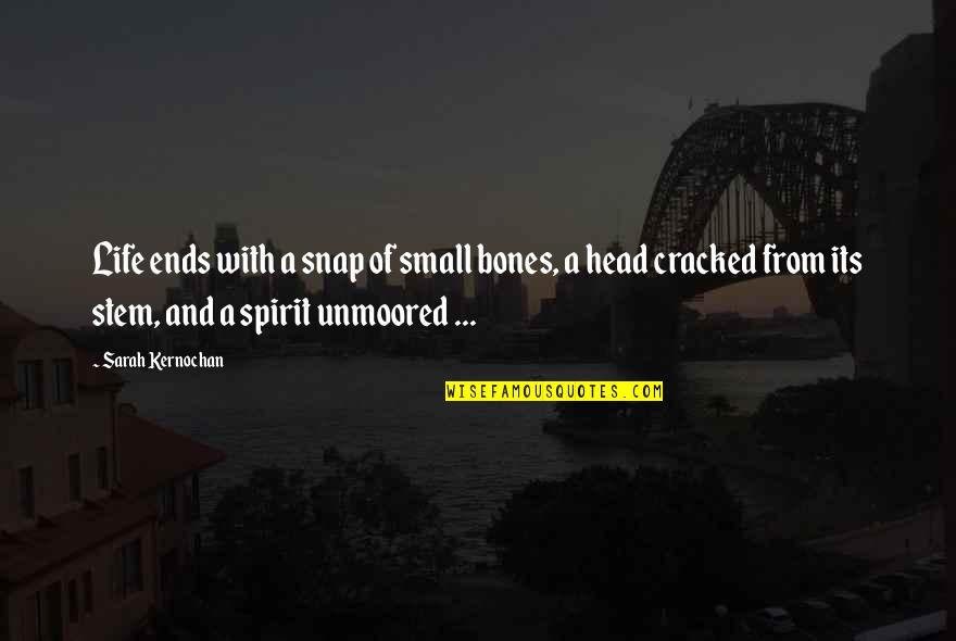 Twintig Very Long Nails Quotes By Sarah Kernochan: Life ends with a snap of small bones, Twintig Very Long Nails Quotes By Sarah Kernochan: Life ends with a snap of small bones,