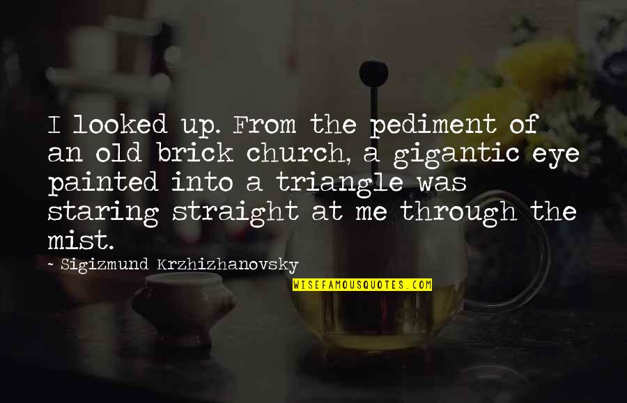 Twisted Facts Quotes By Sigizmund Krzhizhanovsky: I looked up. From the pediment of an
