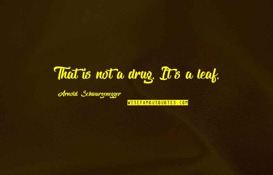Twitter Christian Quotes By Arnold Schwarzenegger: That is not a drug. It's a leaf. Twitter Christian Quotes By Arnold Schwarzenegger: That is not a drug. It's a leaf.