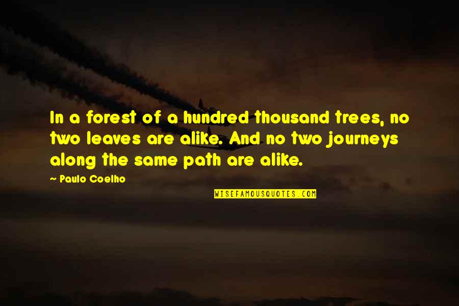 Two Alike Quotes By Paulo Coelho: In a forest of a hundred thousand trees, Two Alike Quotes By Paulo Coelho: In a forest of a hundred thousand trees,