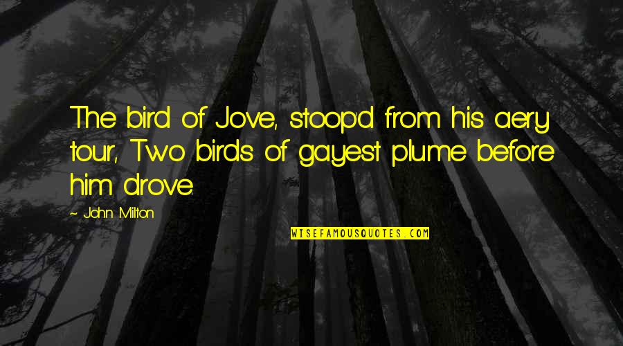 Two Birds Quotes By John Milton: The bird of Jove, stoop'd from his aery Two Birds Quotes By John Milton: The bird of Jove, stoop'd from his aery