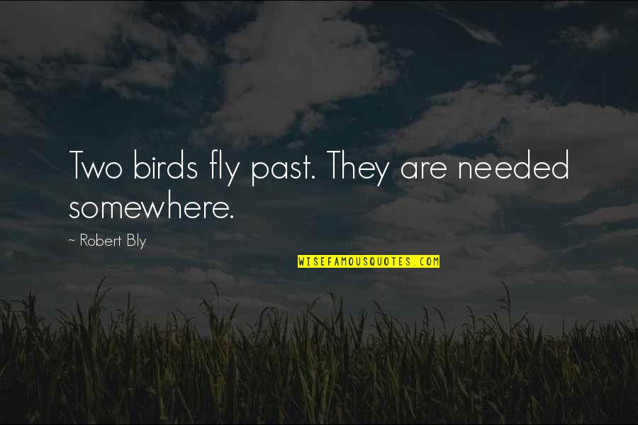 Two Birds Quotes By Robert Bly: Two birds fly past. They are needed somewhere. Two Birds Quotes By Robert Bly: Two birds fly past. They are needed somewhere.