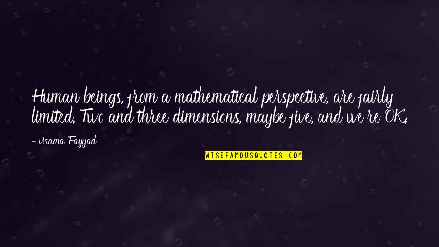 Two Dimensions Quotes By Usama Fayyad: Human beings, from a mathematical perspective, are fairly