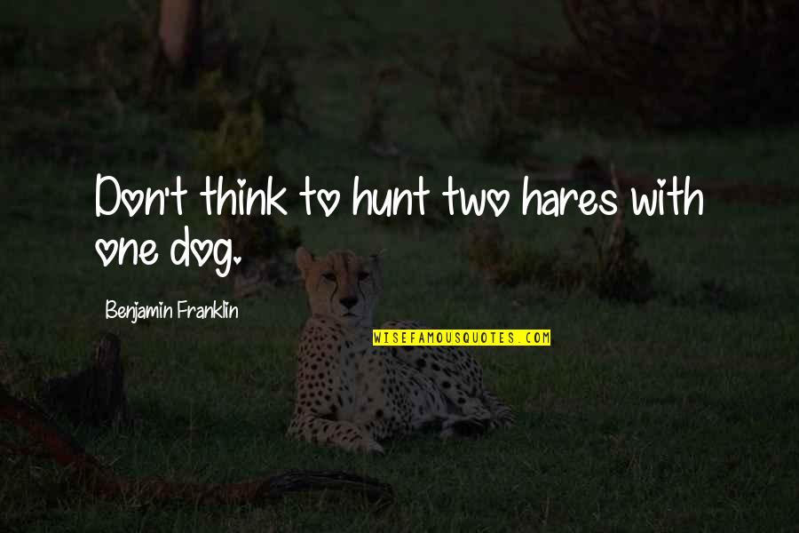 Two Dog Quotes By Benjamin Franklin: Don't think to hunt two hares with one Two Dog Quotes By Benjamin Franklin: Don't think to hunt two hares with one