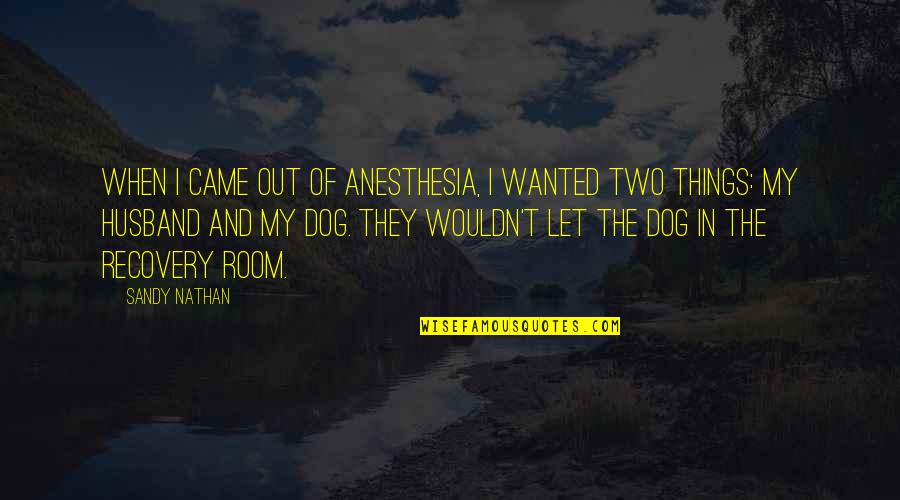 Two Dog Quotes By Sandy Nathan: When I came out of anesthesia, I wanted Two Dog Quotes By Sandy Nathan: When I came out of anesthesia, I wanted
