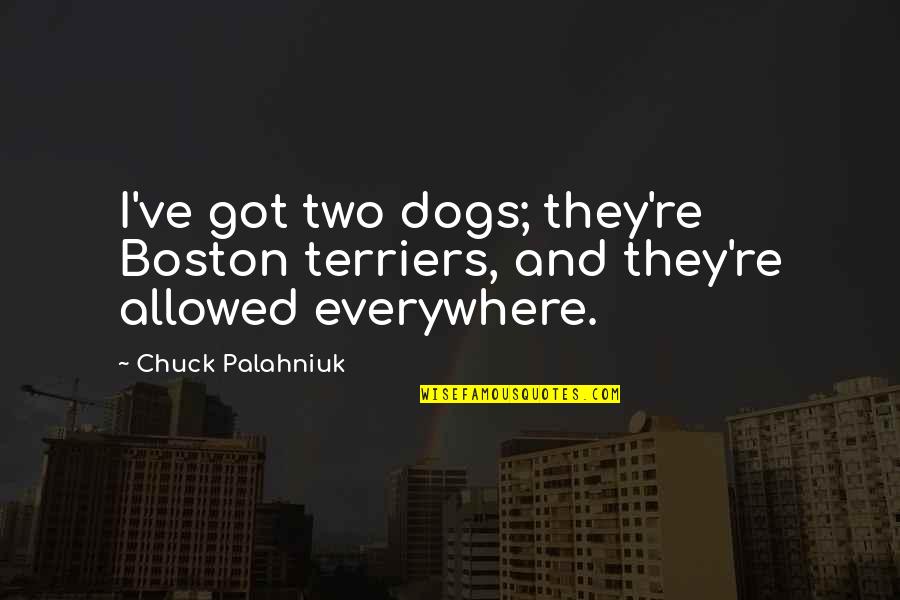 Two Dogs Quotes By Chuck Palahniuk: I've got two dogs; they're Boston terriers, and