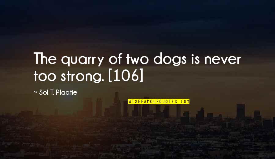 Two Dogs Quotes By Sol T. Plaatje: The quarry of two dogs is never too