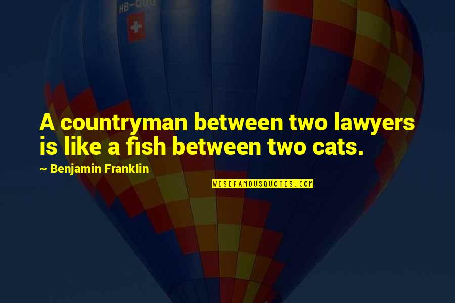 Two Fish Quotes By Benjamin Franklin: A countryman between two lawyers is like a Two Fish Quotes By Benjamin Franklin: A countryman between two lawyers is like a
