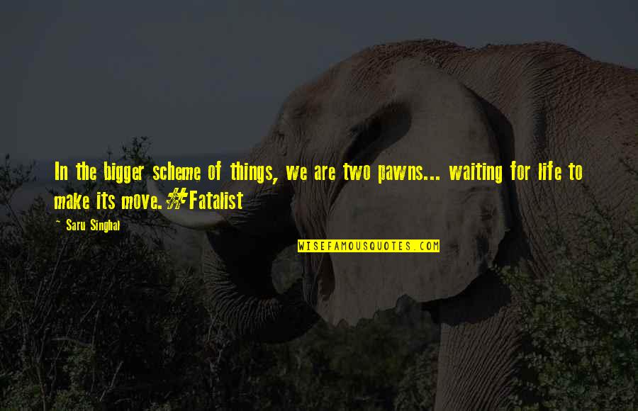 Two Heads One Heart Quotes By Saru Singhal: In the bigger scheme of things, we are Two Heads One Heart Quotes By Saru Singhal: In the bigger scheme of things, we are