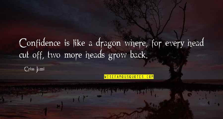 Two Heads Quotes By Criss Jami: Confidence is like a dragon where, for every