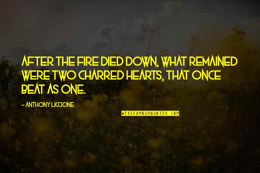 Two Hearts Beat As One Quotes By Anthony Liccione: After the fire died down, what remained were