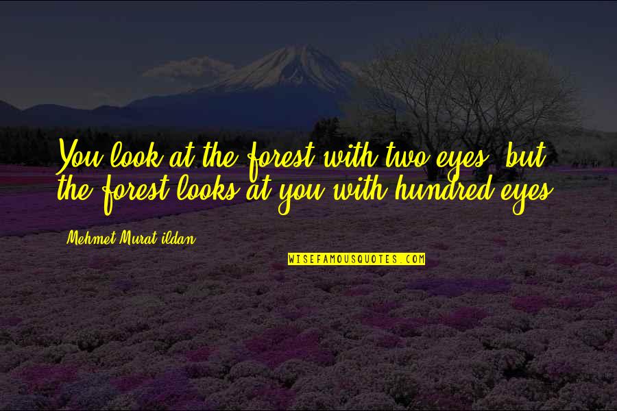 Two Hundred Quotes By Mehmet Murat Ildan: You look at the forest with two eyes,