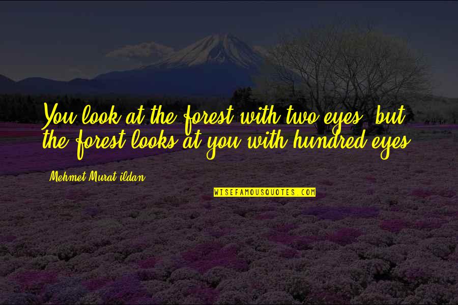 Two Hundred Quotes By Mehmet Murat Ildan: You look at the forest with two eyes, Two Hundred Quotes By Mehmet Murat Ildan: You look at the forest with two eyes,