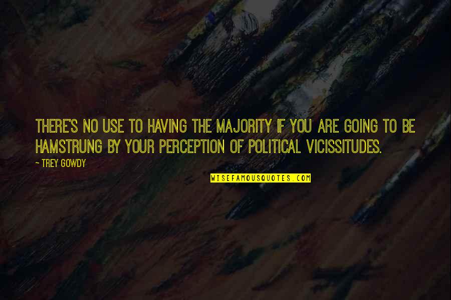 Two Is Better Than One Bible Quotes By Trey Gowdy: There's no use to having the majority if