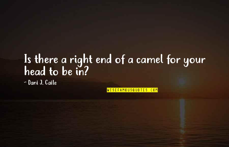 Two Lines Happy Quotes By Dani J. Caile: Is there a right end of a camel