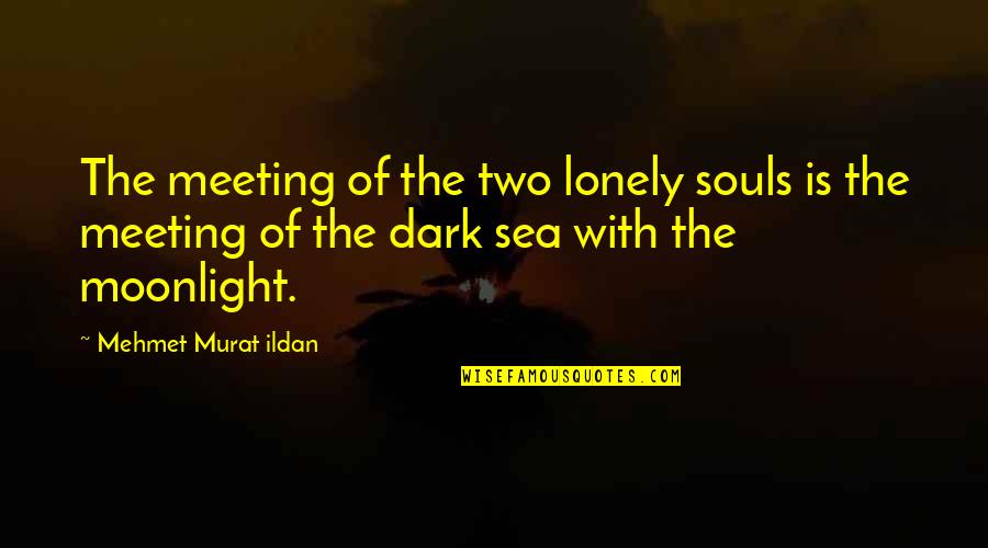 Two Souls Quotes By Mehmet Murat Ildan: The meeting of the two lonely souls is Two Souls Quotes By Mehmet Murat Ildan: The meeting of the two lonely souls is