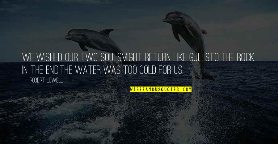 Two Souls Quotes By Robert Lowell: We wished our two soulsmight return like gullsto