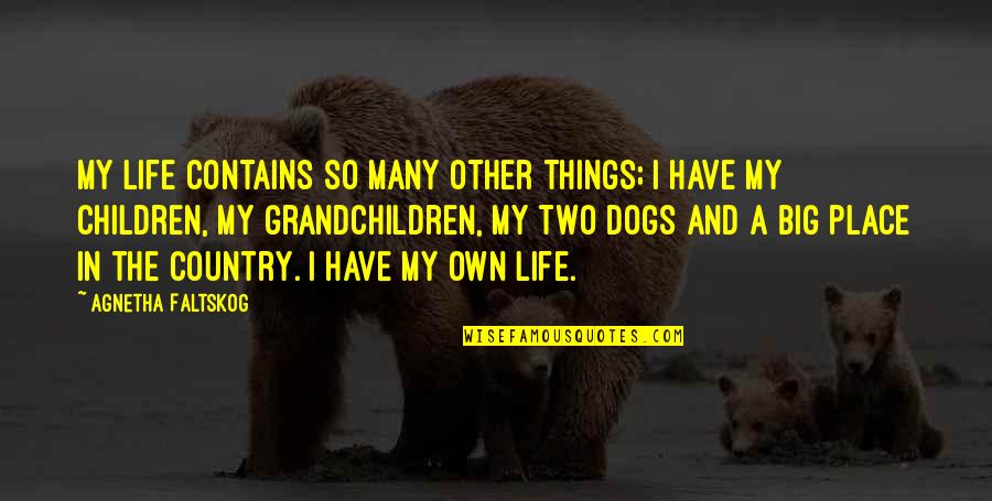 Two Things In Life Quotes By Agnetha Faltskog: My life contains so many other things; I